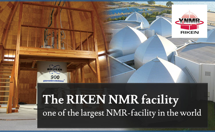 NMR Facility