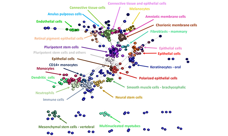 Expression profile and cell ontology analysis of mature miRNAs
