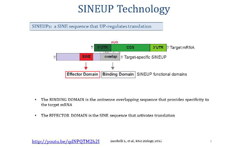 Explanation of SINEUP technology