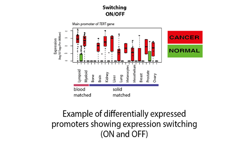 Differentially expressed promoter