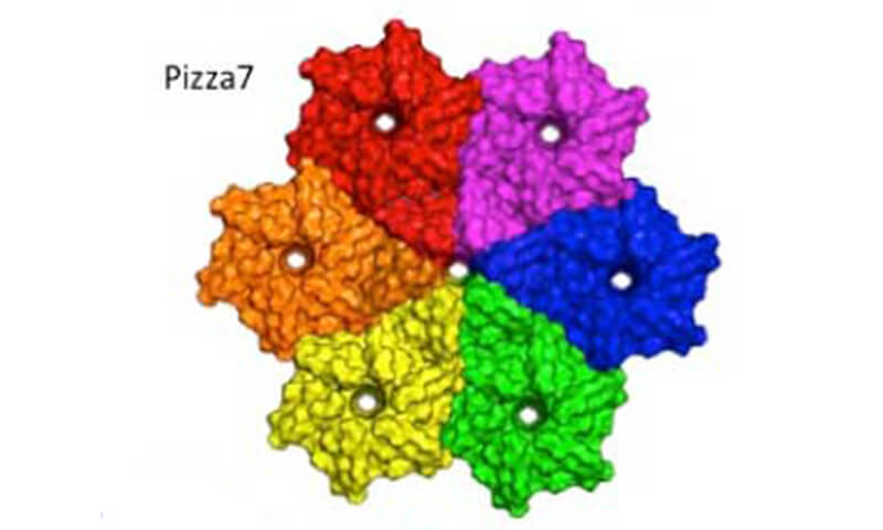 ピザ型人工タンパク質の図